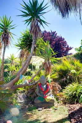 Jardin de l'établissement 3 chambres d'hôte de charme et chambre de luxe indépendante Ô Bois Plage