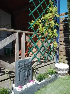 Jardin de l'établissement Chalet Zure Ondoan - SPA et piscine chauffée