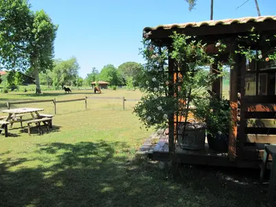 Jardin de l'établissement Gite foret landaise