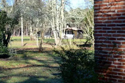 Jardin de l'établissement Gite foret landaise