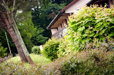 Jardin de l'établissement Campanile Dax - Saint-Paul-Les-Dax