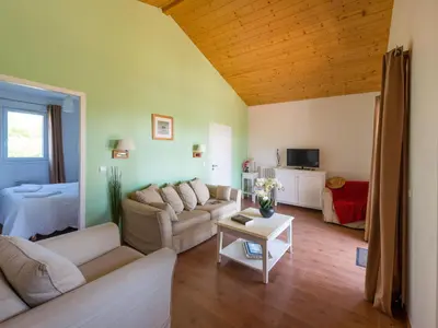 Télévision ou salle de divertissement dans l'établissement Apartment Les Cottages du Lac T2 Tradition by Interhome
