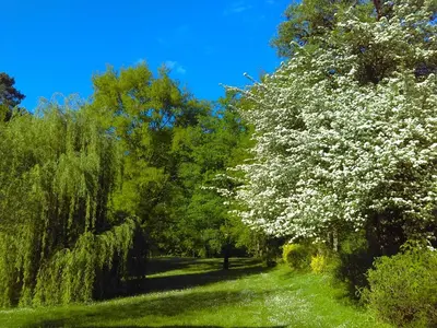 Paysage naturel près de la maison de vacances