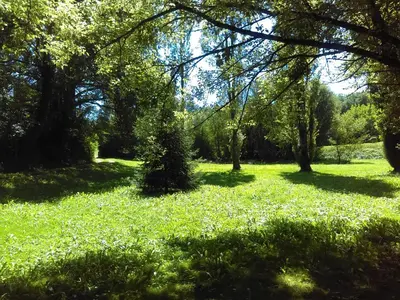 Jardin de l'établissement Moulin de Saint Cricq - Gîte insolite