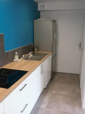 Cuisine ou kitchenette dans l'établissement L'appartement des deux chênes