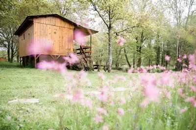 Jardin de l'établissement Le Ranch Amadeus