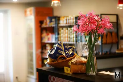 Nourriture dans l'appartement ou à proximité