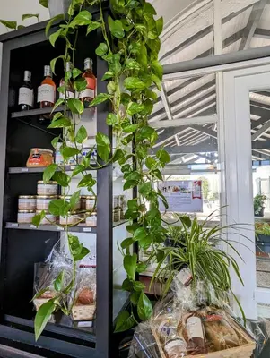 Nourriture dans l'hôtel ou à proximité