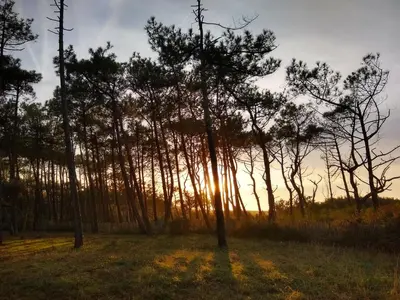 Paysage naturel près de l'appartement