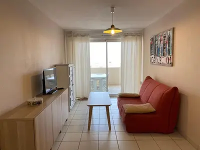 Télévision ou salle de divertissement dans l'établissement Appartement T2 avec terrasse et animaux acceptés - FR-1-379-65