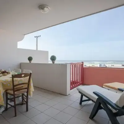 Appartement T2 avec terrasse et animaux acceptés - FR-1-379-65