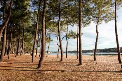 Paysage naturel près de l'appart'hôtel