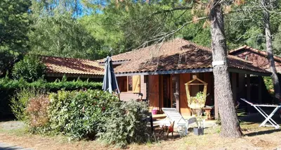 Jardin de l'établissement Chalet Camping Les Vignes