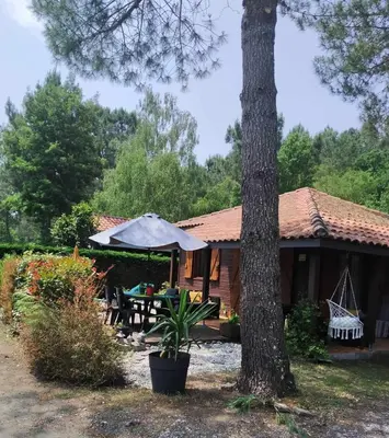Jardin de l'établissement Chalet Camping Les Vignes