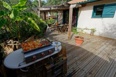 Jardin de l'établissement Villa sous les pins de Moliets
