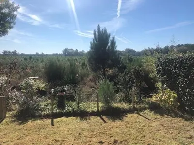 Paysage naturel près de la maison de vacances