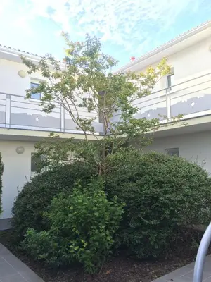 Bâtiment de l'appartement