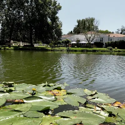 Vue sur la rivière ou le fleuve situé(e) à proximité de l'hôtel