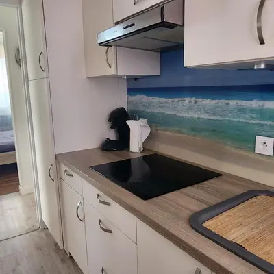Cuisine ou kitchenette dans l'établissement Beach Front Apartment Eljocri