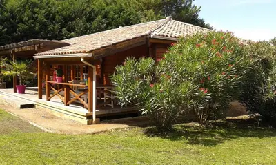 Jardin de l'établissement 