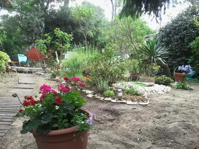 Jardin de l'établissement Villa Akwaba