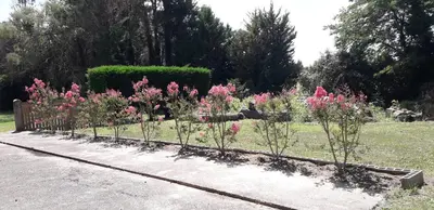 Jardin de l'établissement 325 Route du Fourou