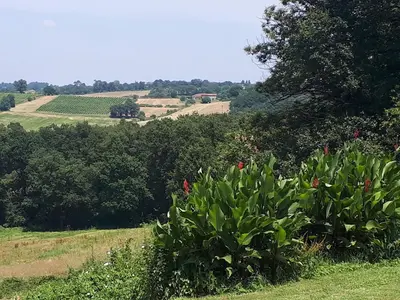 Paysage naturel près de la maison de vacances