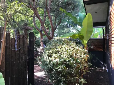 Jardin de l'établissement Tchankéklass