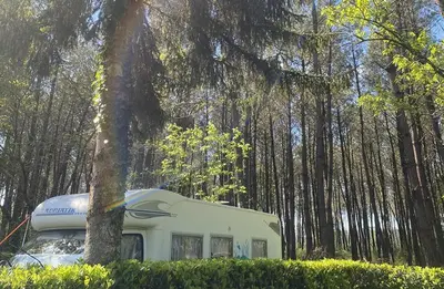 Jardin de l'établissement Camping des Abesses