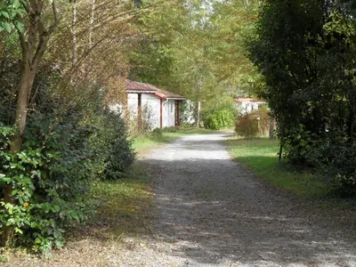 Jardin de l'établissement Etche Zahar
