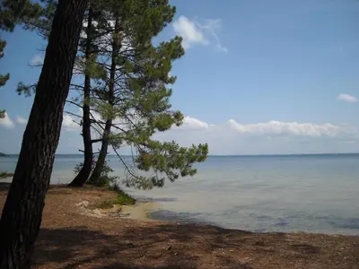 Paysage naturel près de l'appartement
