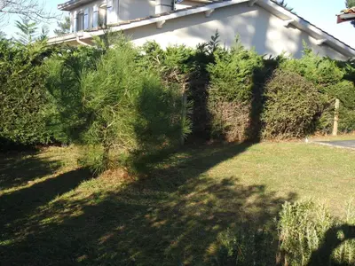 Jardin de l'établissement Maison familiale avec jardin, proche Dune du Pyla et parcs, idéale pour vacances ensoleillées - FR-1-319-362