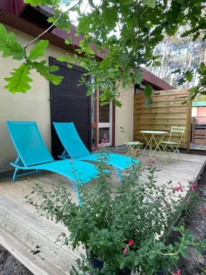 Jardin de l'établissement Les fougères A81 Les villages sous les pins LEON 40550
