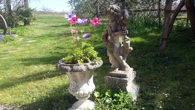Jardin de l'établissement Maison d'Hôtes Léchémia