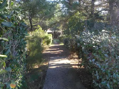 Paysage naturel près de la maison de vacances