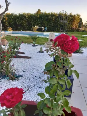 Jardin de l'établissement PETIT COIN DE CHARME