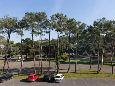 Plan de l'établissement Appartement lumineux proche plage, marché et océan, Seignosse - FR-1-239-448