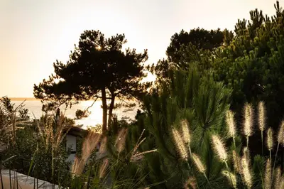 Paysage naturel près de l'appartement