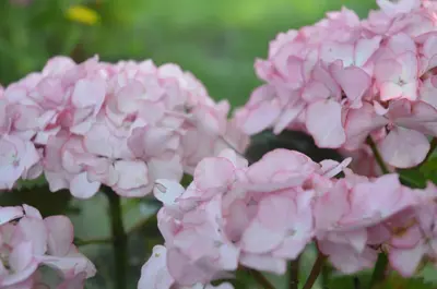 Plan de l'établissement Hôtel Land'Azur