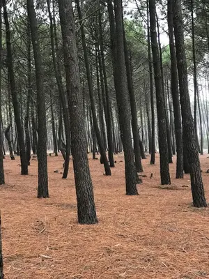 Paysage naturel près de la maison de vacances
