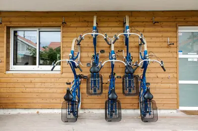 Vélo sur le terrain de l'établissement BodyGo Penthouse ou dans les environs