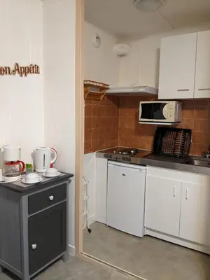 Cuisine ou kitchenette dans l'établissement Hôtel Studios Les Acacias