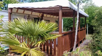 Jardin de l'établissement Camping baradis