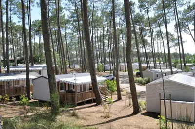 Paysage naturel près de le camping