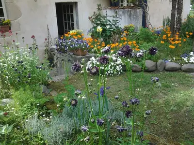 Jardin de l'établissement Chambres d'Hôtes Aroha