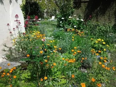 Jardin de l'établissement Chambres d'Hôtes Aroha