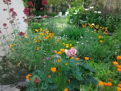 Jardin de l'établissement Chambres d'Hôtes Aroha
