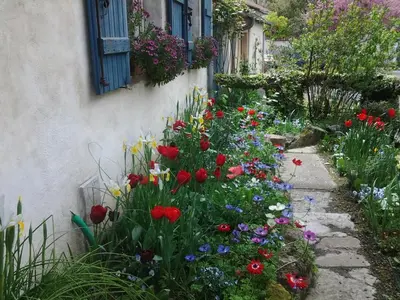 Jardin de l'établissement Chambres d'Hôtes Aroha