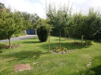 Jardin de l'établissement Maison Lous Amics