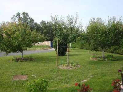 Jardin de l'établissement Maison Lous Amics